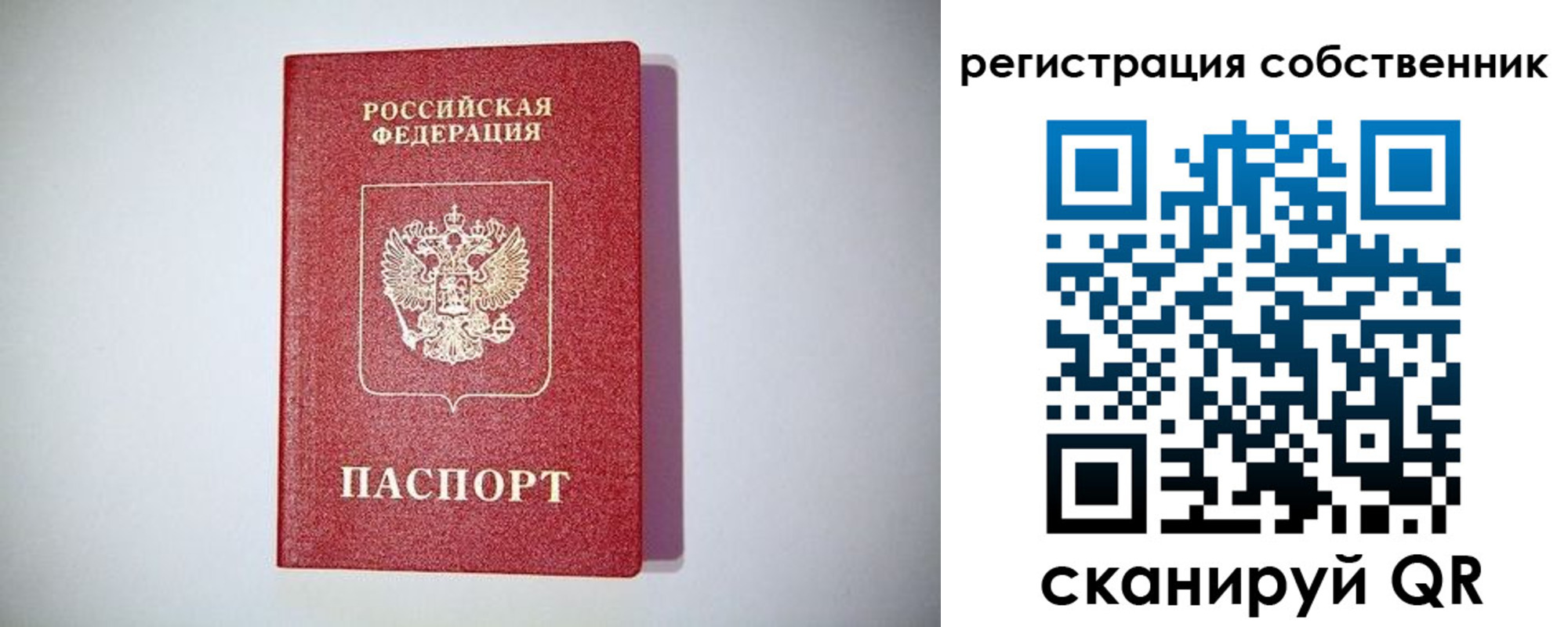 временная регистрация для школы в Сельцо